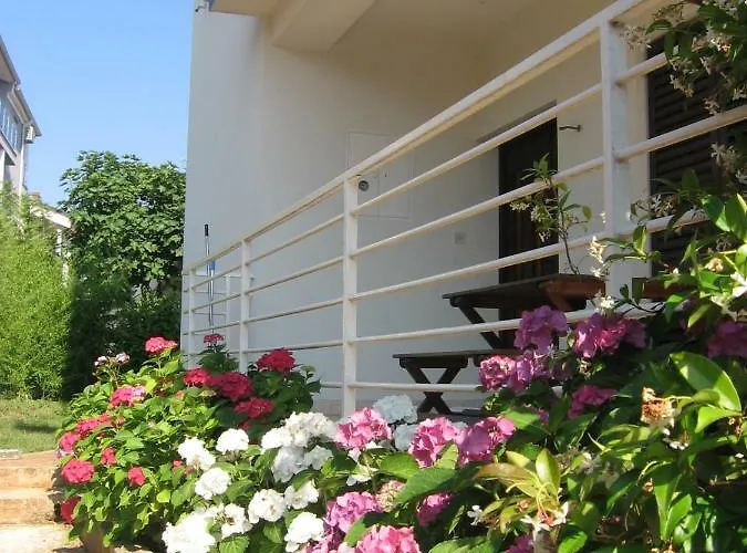 Apartman Chocolate Póla