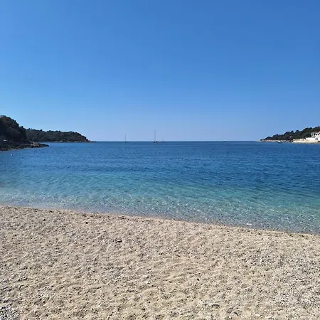 Chocolate Πούλα