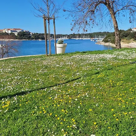 Chocolate * Πούλα