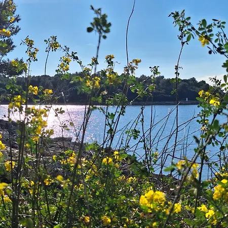 Διαμέρισμα Chocolate