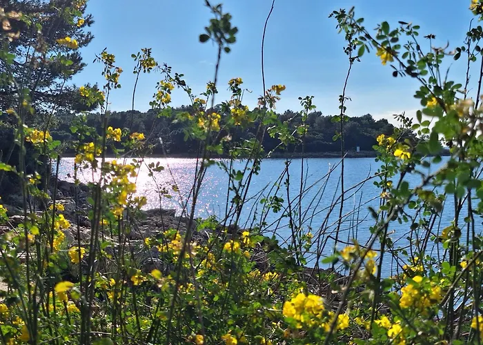 Appartamento Chocolate